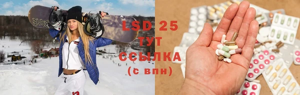 ешки Аркадак